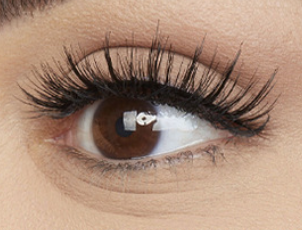 🪞Elyviana Premium Glue-Free Soft Magnetic Eyelashes Kit | Reusable & Lightweight👁️-Navalonixcosh®
