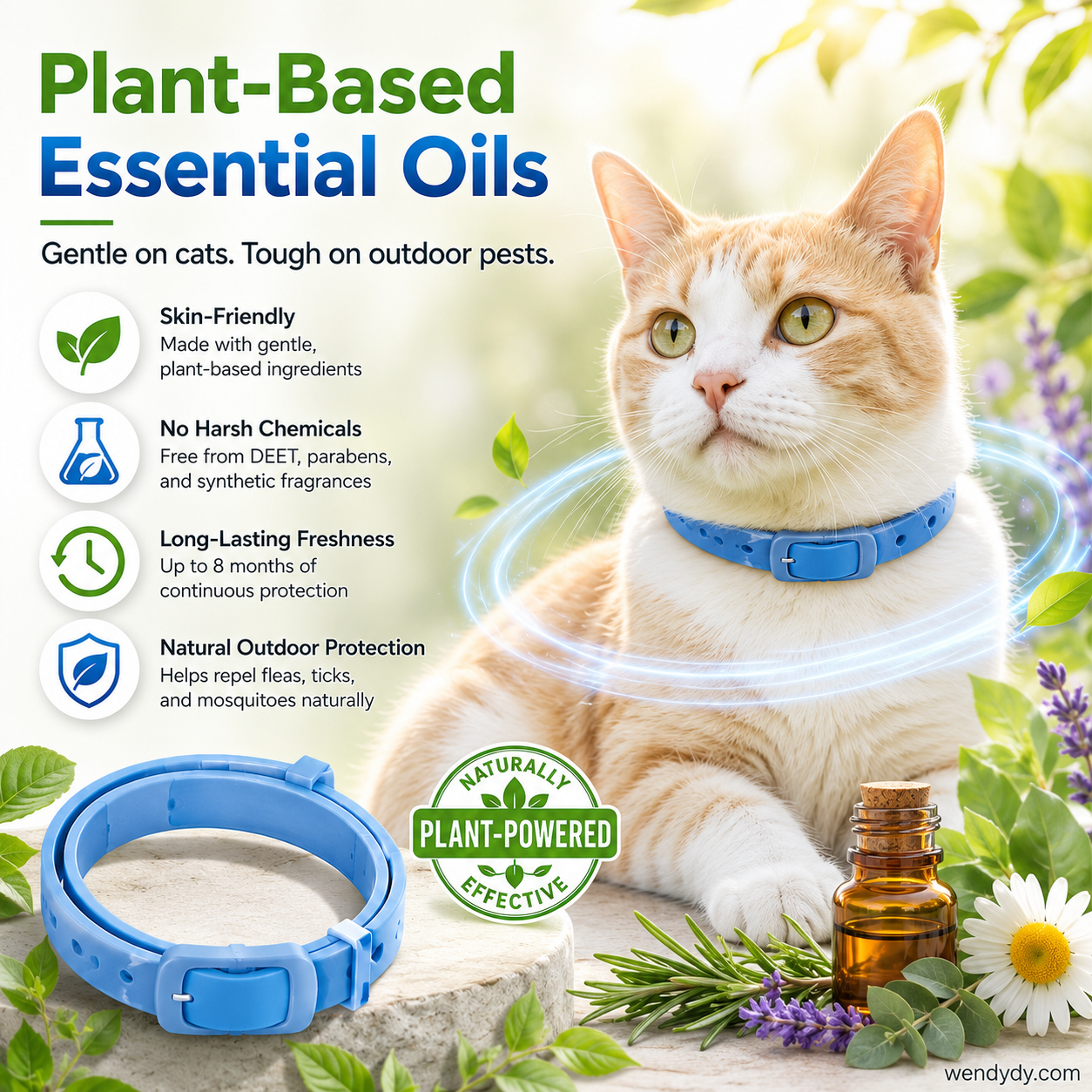 🥳2026 HOT SALE🥳💞50K+ SOLD!🌿🛡️ 50% OFF! Natural Essential Oil Pet Collar – 8‑month flea & tick protection. Plant‑based, no harsh chemicals. Safe for dogs & cats! 🐾✨-Navalonixcosh®