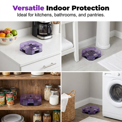 ⏳Time-Limited Special⏰ Reusable Roach Trap – Physical capture, no toxic sprays. One‑way doors, easy to check & clean. Safe for homes with kids & pets! 🏠✨-Navalonixcosh®